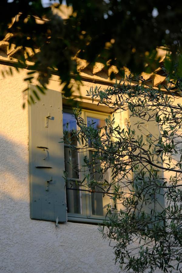 Domaine Le Bois Des Dames Bed & Breakfast Chantemerle-lès-Grignan Dış mekan fotoğraf