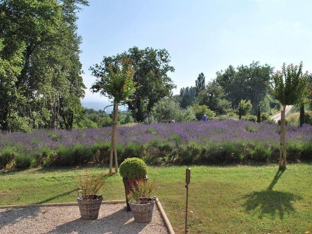 Domaine Le Bois Des Dames Bed & Breakfast Chantemerle-lès-Grignan Dış mekan fotoğraf